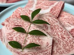 -然锅料理