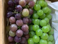 -马陆小张葡萄园农家乐