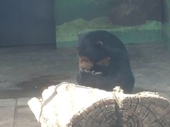-昆明动物园