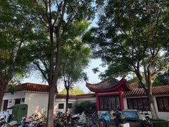 -沙市市中山公园
