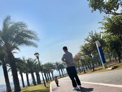 -野狸岛