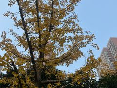-阳澄湖半岛旅游度假区