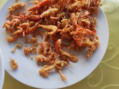 -华龙特色大骨鸡农家菜馆