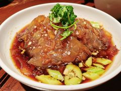 -老板恋上鱼(高新万达店)