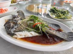 -众味海鲜大排档·活海鲜·潮汕味(南澳店)