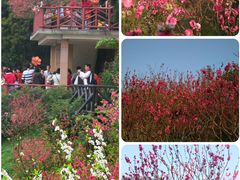 -桃花涧