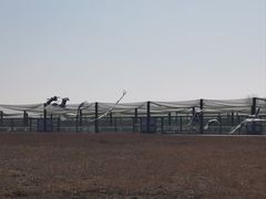 -盐城丹顶鹤湿地生态旅游区