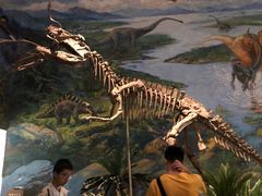 -自贡恐龙博物馆