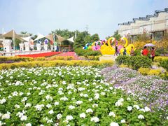 -广州花之恋城堡酒店