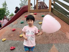 -枫香湖儿童公园