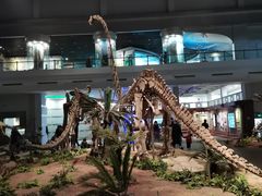 -自贡恐龙博物馆