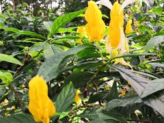 -北京植物园-展览温室