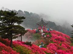 -木兰云雾山