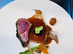新西兰羊排，羊肚菌，-九献创意菜·牛排馆(亮马河花园店)