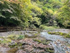 -关门山森林公园