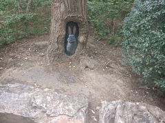 -迎泽公园