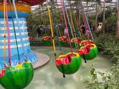 -南宫五洲植物乐园