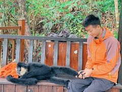 -普洱太阳河森林公园