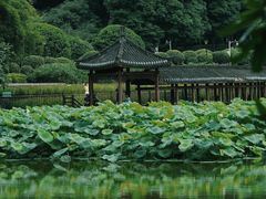-龙头寺公园