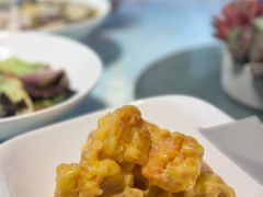 -席家花园(巨鹿花园店)