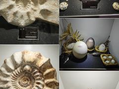 -洛阳龙门海洋馆