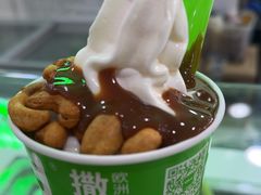 -Salud撒露欧洲冻酸奶(五道口购物中心店)