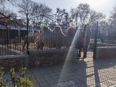 -保定市动物园