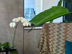 -山下C5cafe(惠通时代广场店)