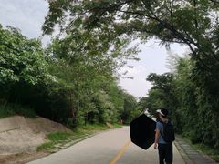 -嵖岈山风景区