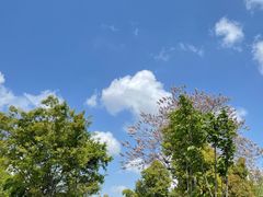 -桃源居(蠡园店)