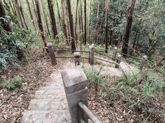 -滴水岩森林公园