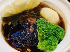 -陈麻婆豆腐(旗舰店)