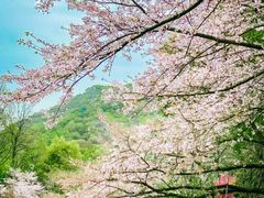 -杭州少年儿童公园