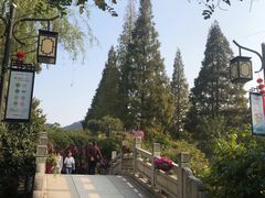 -白马涧龙池景区