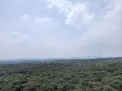 -灵谷景区
