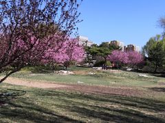 -丰台花园