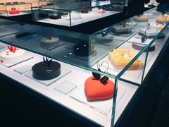 -BLACKSWAN黑天鹅(环球店)