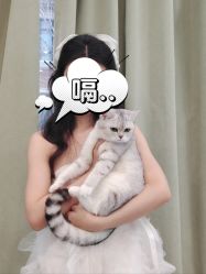 -米莱摄影写真(五大道别墅店)