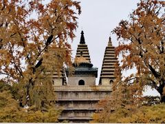 -北京石刻艺术博物馆(五塔寺)
