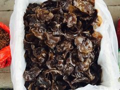 -黎坪国家森林公园