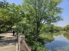 -西溪国家湿地公园