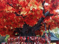 -芜湖方特东方神画