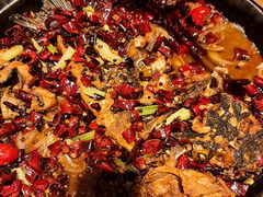 -老板恋上鱼(恒隆广场店)