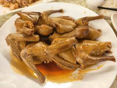 -百利鸽王(紫薇路店)