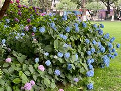 -常州古运河南大街文化旅游区-人民公园