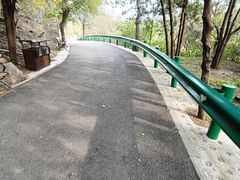 -白水寺森林公园