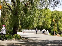 -长春市南湖公园