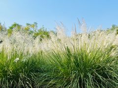 -盘龙城遗址博物院