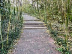 -昆山城市生态森林公园