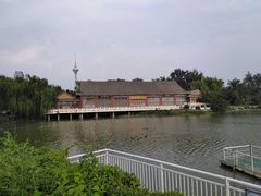 -天津水上公园